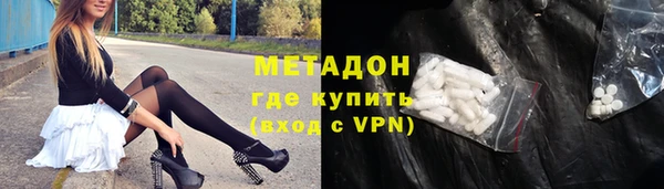 гашик Алексин