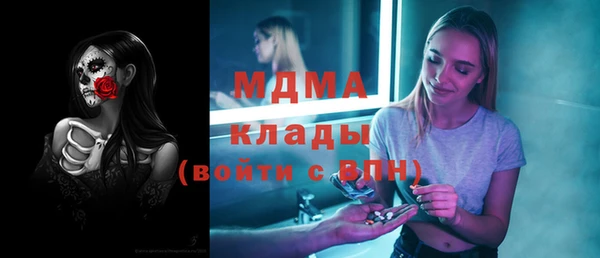 гашик Алексин