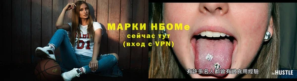 гашик Алексин