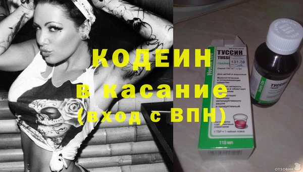 гашик Алексин
