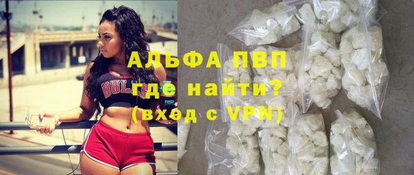 гашик Алексин