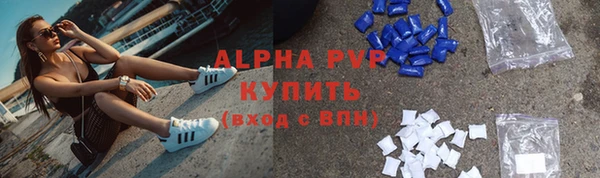 гашик Алексин