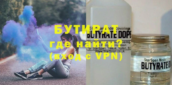 гашик Алексин