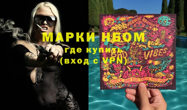 сатива Нягань
